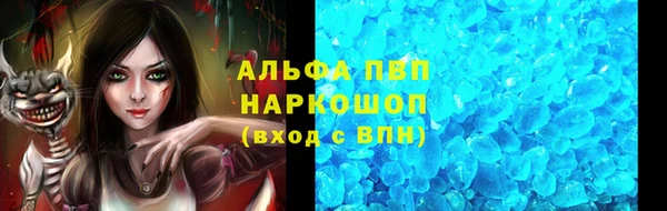 стаф Беломорск