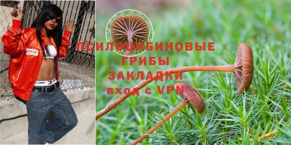 гашишное масло Белокуриха
