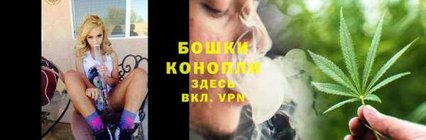 СК Богородицк