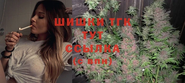 стаф Беломорск