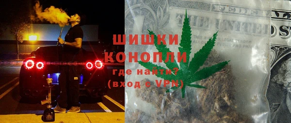 прущие грибы Белоозёрский