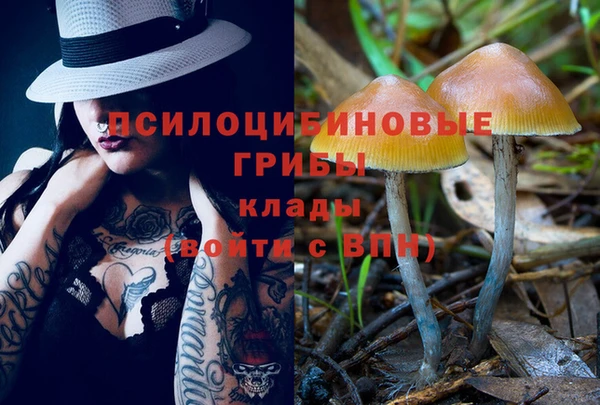 стаф Беломорск