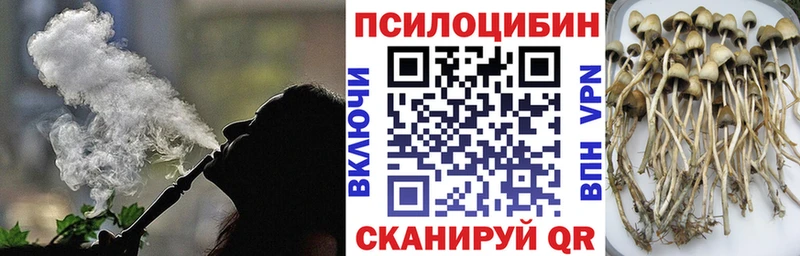 хочу   Оха  Галлюциногенные грибы Psilocybine cubensis 